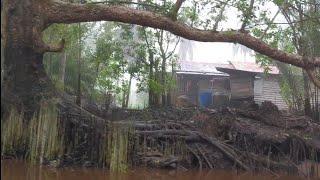 Kampung dayak di pedalaman kalimantan tengah desa hantipan pulau hanaut kab kotawaringin timur