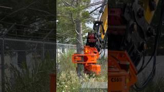 Introducing the #Woodcracker #Excavator Attachment Tree Removal Has Never Been Easier  🪵🪚 #sany