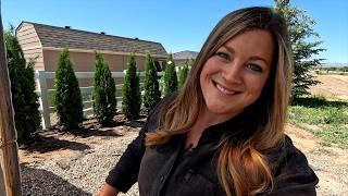 Planting an Evergreen Hedge Behind the Greenhouse Grape Tree Update & Planting Pink Things 