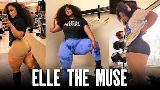 Reel Muscle Presents Elle The Muse