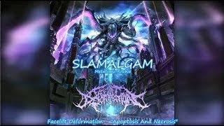 SLAMALGAM Slamming Brutal Death Metal Compilation