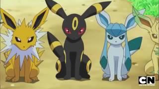 Eevee Evolutions - different possible evolutions fo Eevee - Elite pokemon