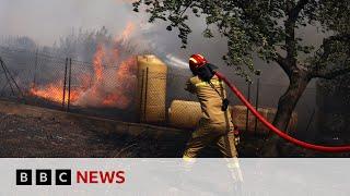 Wildfires erupt on Greek island of Kos  BBC News