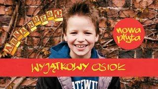 ARKA NOEGO - WYJĄTKOWY OSIOŁ 2017