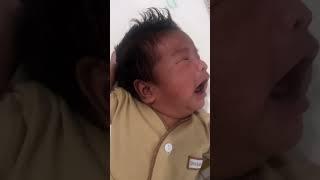 Bayi ngelawakk ... jambak sendiri ngejerit sendiri 