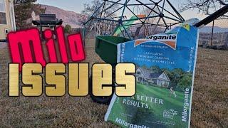 4 Biggest Problems With Using Milorganite + When To Use It