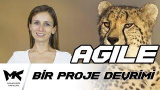 Agile  Bir Proje Devrimi