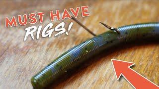 Bass Fishing 101 5 Bass Fishing Rigs You NEED to KNOW