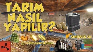 FARMTARIM SİSTEMİ HAKKINDA DETAYLAR SINIRSIZ SU VE MEYVE  RUST TÜRKÇE REHBER