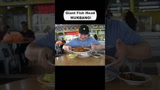 Giant Fish Head Curry Mukbang  #fishcurry #mukbang  #giantfish #shorts  #chubro