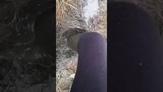 Stuck in thick tidal mud part. 1 POV
