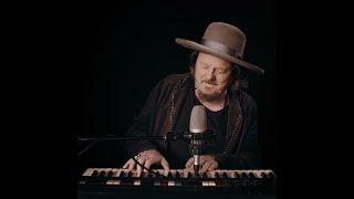 Zucchero - Facile Live Acoustic