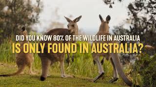 Roaming Australia’s Natural Wonders  New York Times Local’s Guide  Tourism Australia