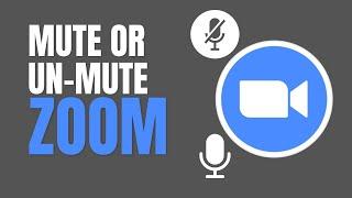 How to Mute or Un-Mute on Zoom 2024