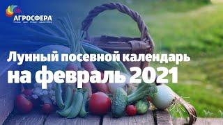 Лунный посевной #календарь на февраль 2021 - Проращивание семян и высадка дома  агросфера.рф