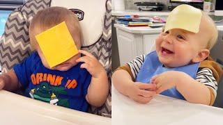 Babys Adorable Reaction When Cheese Is Thrown In The Face - Funny Baby Cheese - Funny Pets Moments