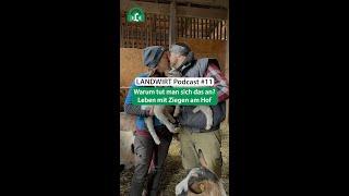 LANDWIRT Podcast Folge #11 - Warum tut man sich das an?  #shorts