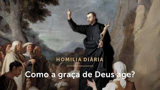 Homilia Diária  Como a graça de Deus opera? Terça-feira da 30.ª Semana do Tempo Comum