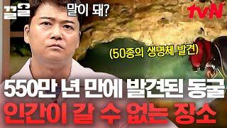 인간의 발길이 없는 지하 화성 같은 동굴 그런데 이곳에서 믿기 힘든 생태계가 발견됐다?  프리한19