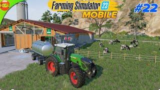 Planting & Harvesting Sunflower Selling Milk  Farming Simulator 23 Amberstone #22