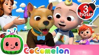 Bingos Bath Song  CoComelon - Nursery Rhymes and Kids Songs  3 HOURS  After School Club