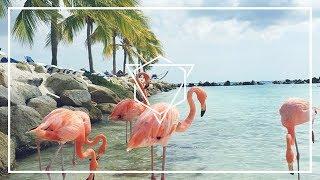 Best Deep & Future House Music Mix 2017 - Summer Day Vibes Mix