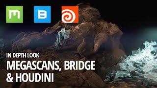 Megascans + Bridge + Houdini an in-depth look