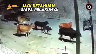 DIREKAM CCTV LANGSUNG INILAH KEJADIAN DI LUAR NALAR PIKIRAN YANG TAK DAPAT DIPERCAYA & TERTANGKAP