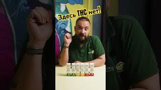 Доброго бодрогоЧасто меня спрашивают о том сколько ТГК в масле с CBD ответ в видео #cbd