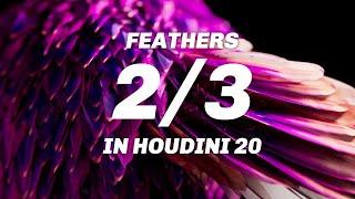 New In Houdini 20 Feathers 02 - Grooming Feathers