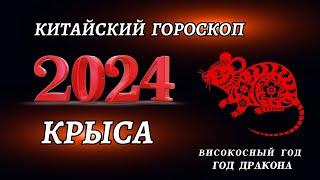 Гороскоп на 2024 год Для Крысы  ГОД ДРАКОНА 2024