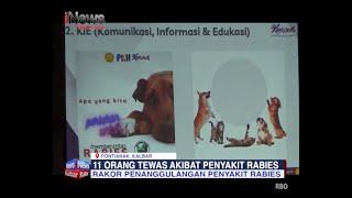 11 Orang Meninggal Akibat Penyakit Rabies Di Kalbar