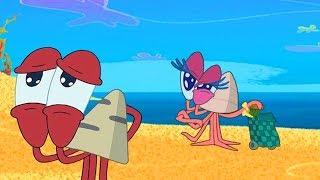  NEW FAMOUS BERNIE COMPILATION  Zig & Sharko Cartoon