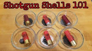 Shotgun Shells 101