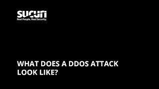 What Happens During a DDoS Attack & What Does It Look Like?