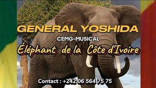 Éléphant de la Côte dIvoire  GENERAL YOSHIDA CEMG-MUSICAL 