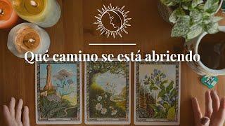 ¿Qué camino se está abriendo?    TAROT INTERACTIVO Elige una carta