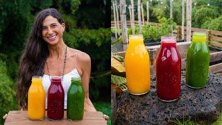 Best Juicing Recipes for Beginners  Simple & Easy Combinations for Healing Wellness & Weightloss