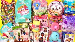 15 MYSTERY SURPRISE TOYS Snackles ASMR Unboxing Mystery Boxes