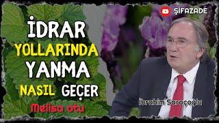 İDRAR YOLLARINDA YANMA NEDEN OLUR - İDRAR YAPARKEN YANMA NASIL GEÇER İBRAHİM SARAÇOĞLU - MELİSA OTU