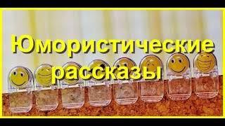 Юмористические рассказы. Часть 56. Аудиокнига.