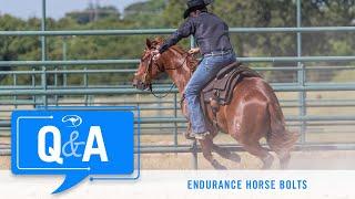 Stopping an Endurance Horse From Bolting - Q&A