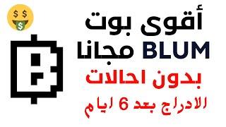 شرح بوت Blum كامل و الربح منه مجانا  بوت blum