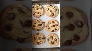 The Best Chocolate Chip Cookie Recipe Ever