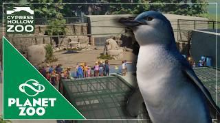 Little Penguins with UNDERWATER Viewing  Cypress Hollow Zoo  Planet Zoo