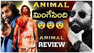 Animal Movie REVIEW  Telugu  Movie Matters