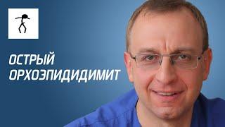 ОСТРЫЙ ОРХОЭПИДИДИМИТ. Уролог андролог сексопатолог - Алексей Корниенко