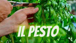 PESTO ALLA GENOVESE - FATTO in CASA