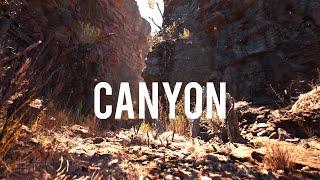 Unreal Engine 5.4.2 render II CANYON II #render #unrealengine5 #megascans