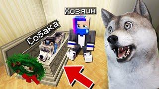 БРОДЯЧИЙ ПЕС НА ПОХОРОНАХ В МАЙНКРАФТ ЖИЗНЬ ЖИВОТНЫХ В MINECRAFT